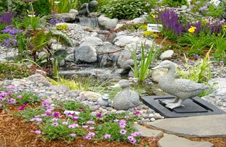 Designing your Small Garden