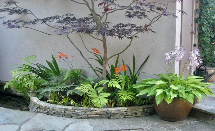 Designing your Small Garden: Know What You Want!