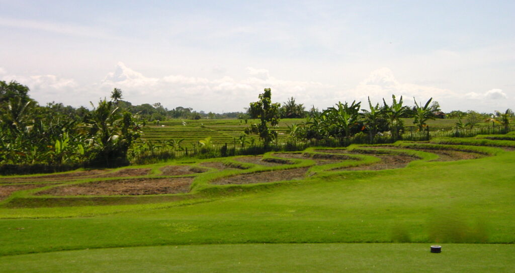 Rice paddies are golf hazards at Nirwana Golf course (Photo MCArnott)