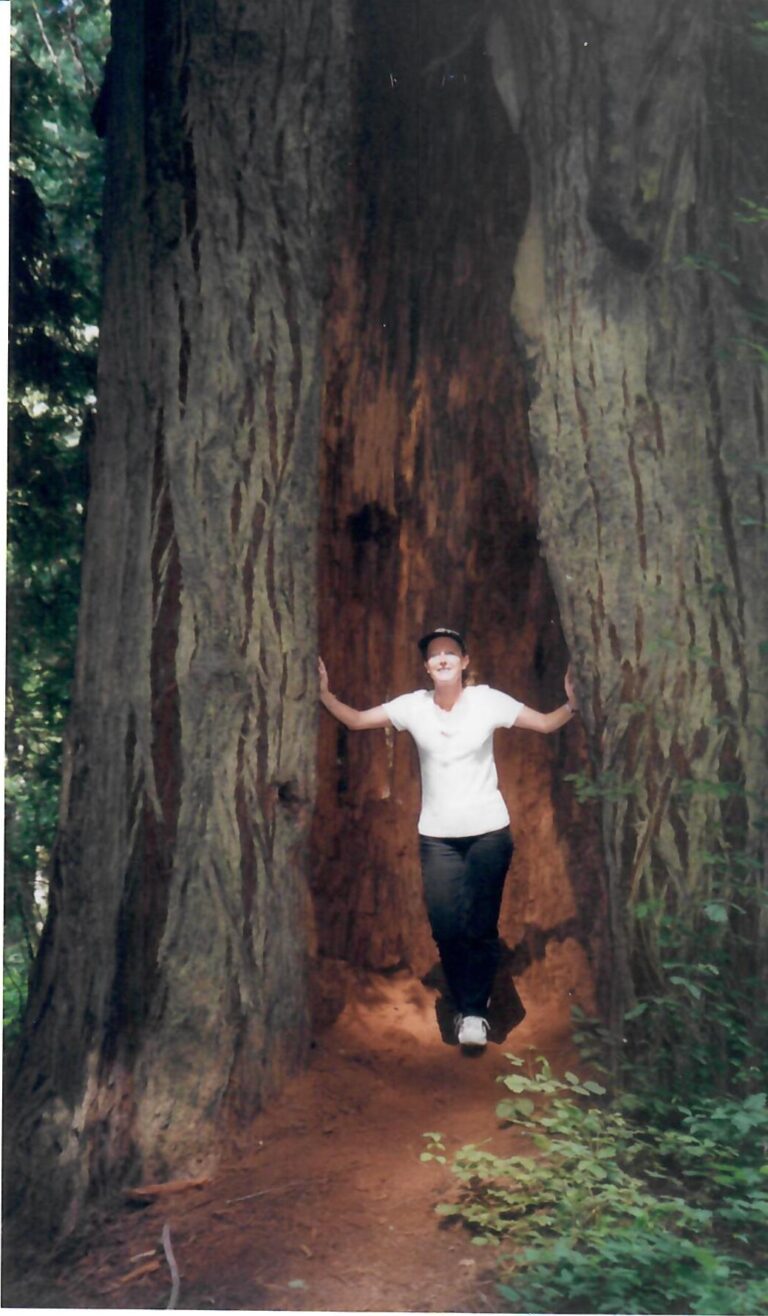California The Trees of Mystery Park MarieClaude Arnott